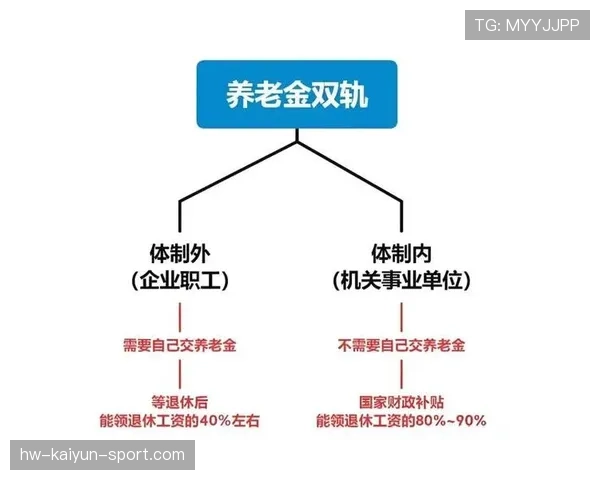 养老基金运作能力增强，助力养老金可持续发展，养老保险基金运行情况分析